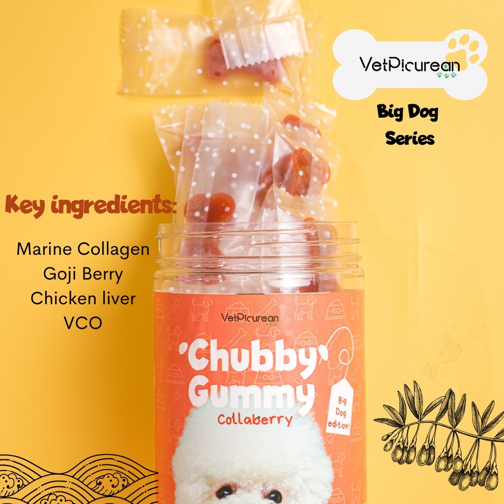 CHUBBY GUMMY BIG DOG ALL VARIANT | COLLABERRY | ESSENTIAL | TUMMY | BASIC (PER PCS)