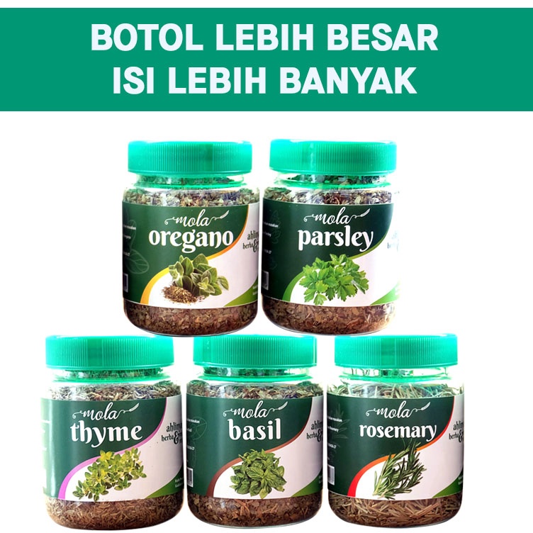 

Subsidi Oregano Parsley Thyme Rosemary Basil kering
