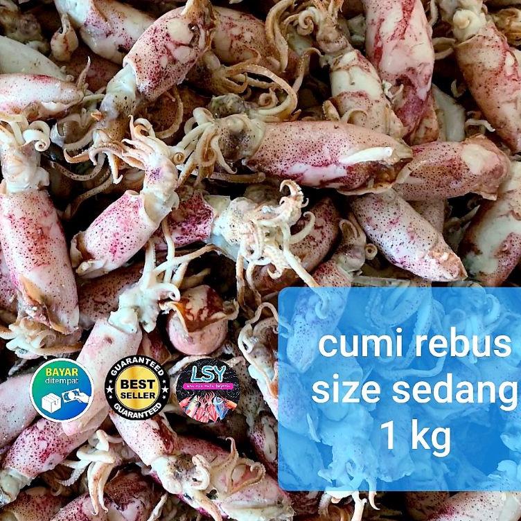 

Buruan Beli ikan asin cumi rebus sotong rebus size sedang 1kg