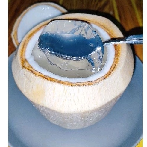 

NEW DEGAN JELLYCOCONUT JELLYCOCONUT THAILAND