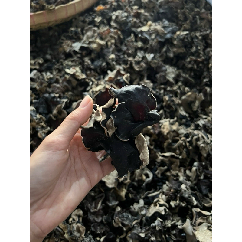 

jamur kuping kering 1 kg