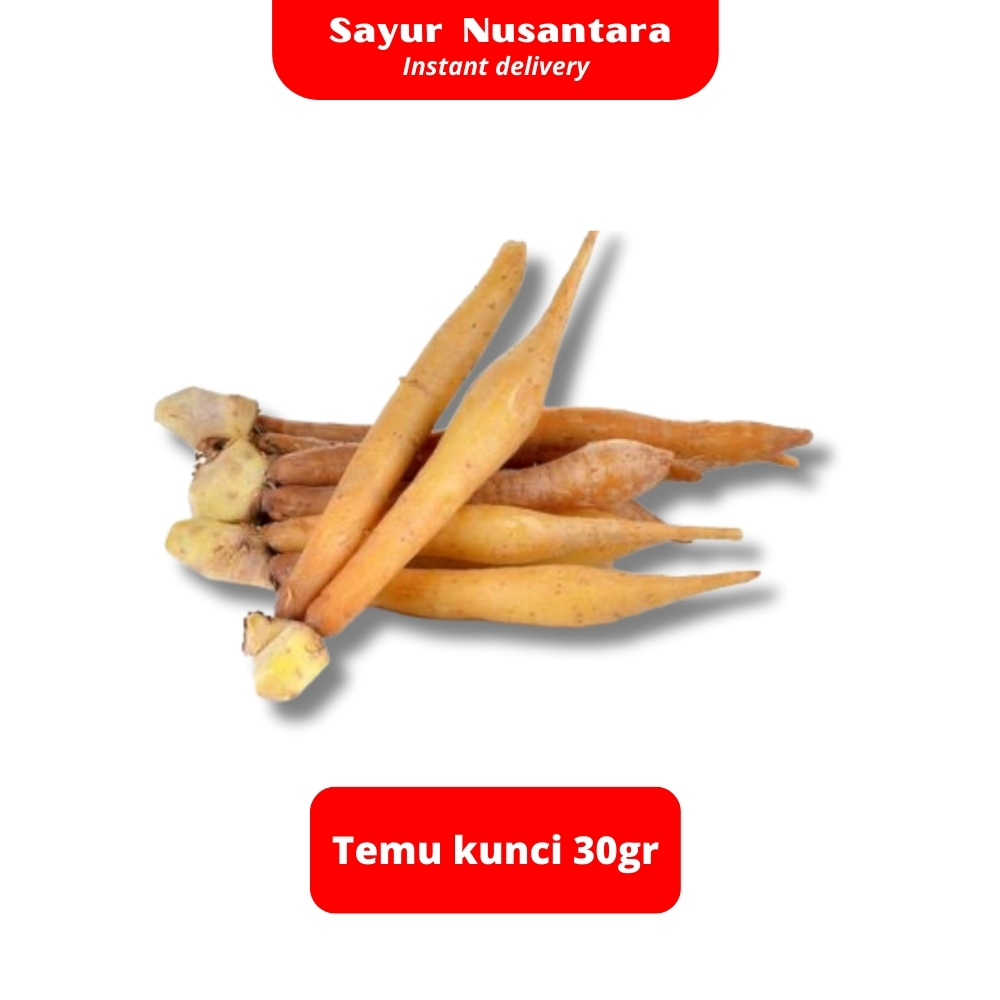 

Temu Kunci 30gr - Sayur Nusantara KIRIM INSTANT