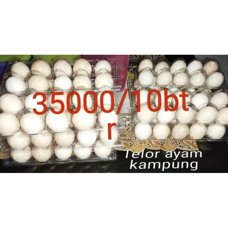 

telur ayam kampung