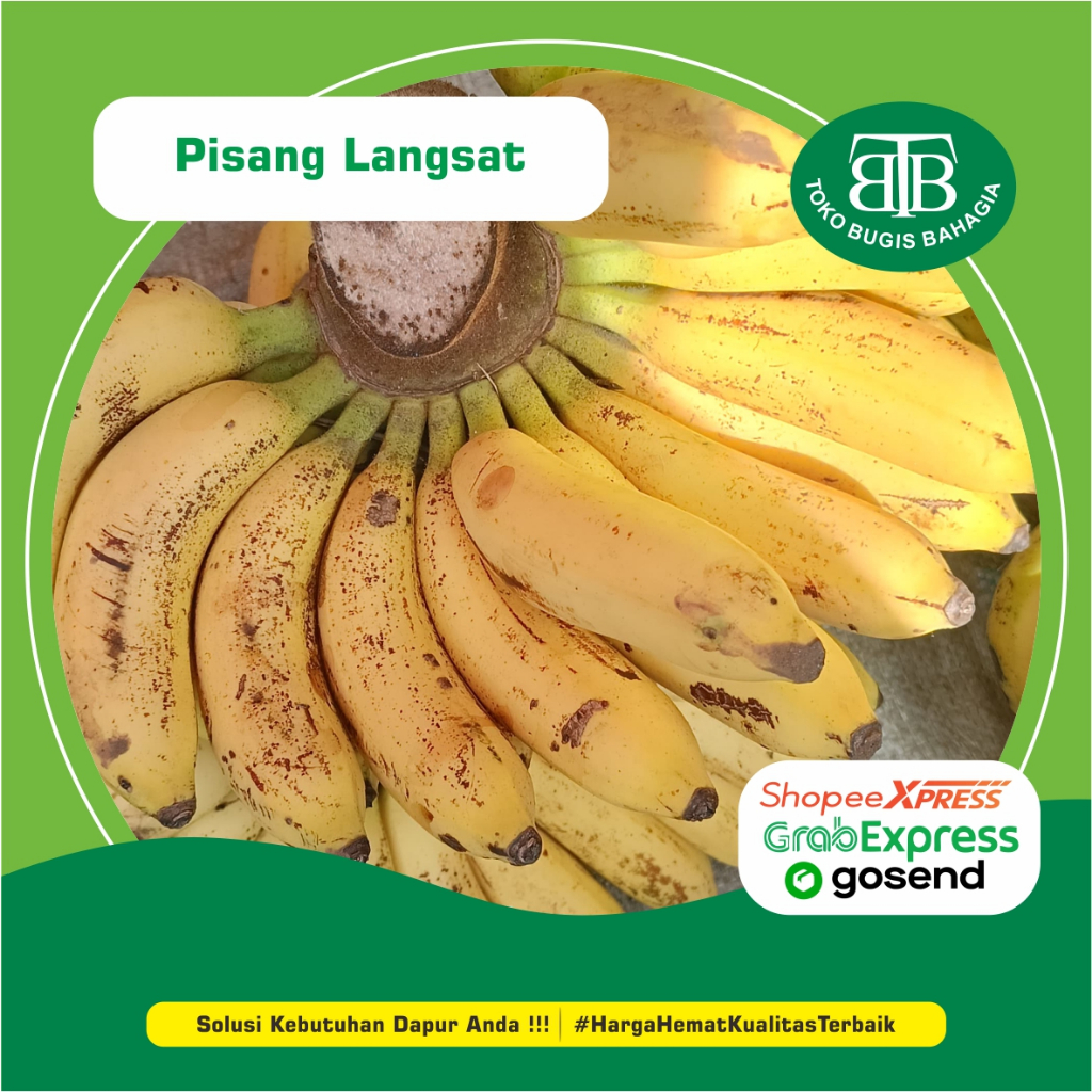 

Pisang Langsat 1 Sisir, Murah Makassar