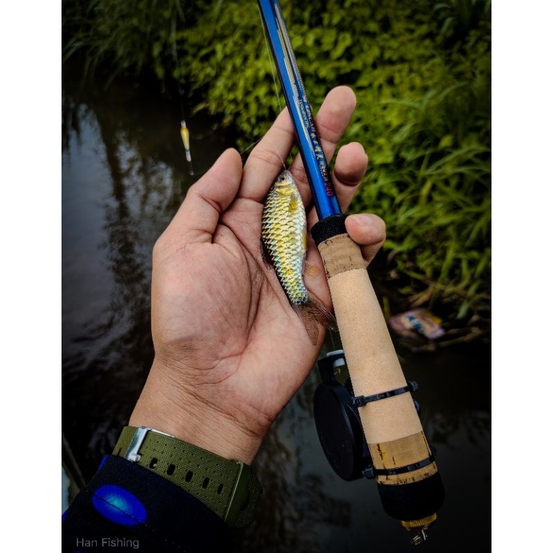 TEGEK CUSTOM OREGON SILINCAH || JORAN PANCING || SET ALAT PANCING || PANCING || SETTING ZOOM