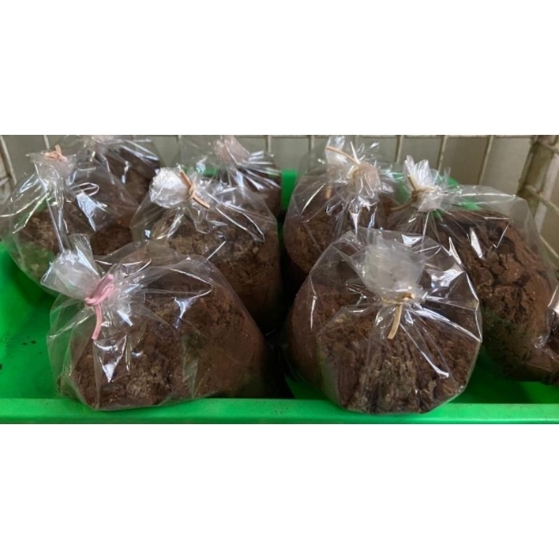 

KOPI JAHE PLASTIK BIASA