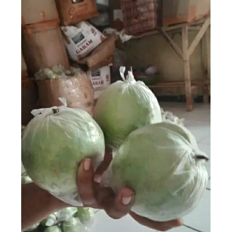 

BUAH JAMBU KRISTAL FRESS SEGAR 1KG ASLI DARI KEBUMEN