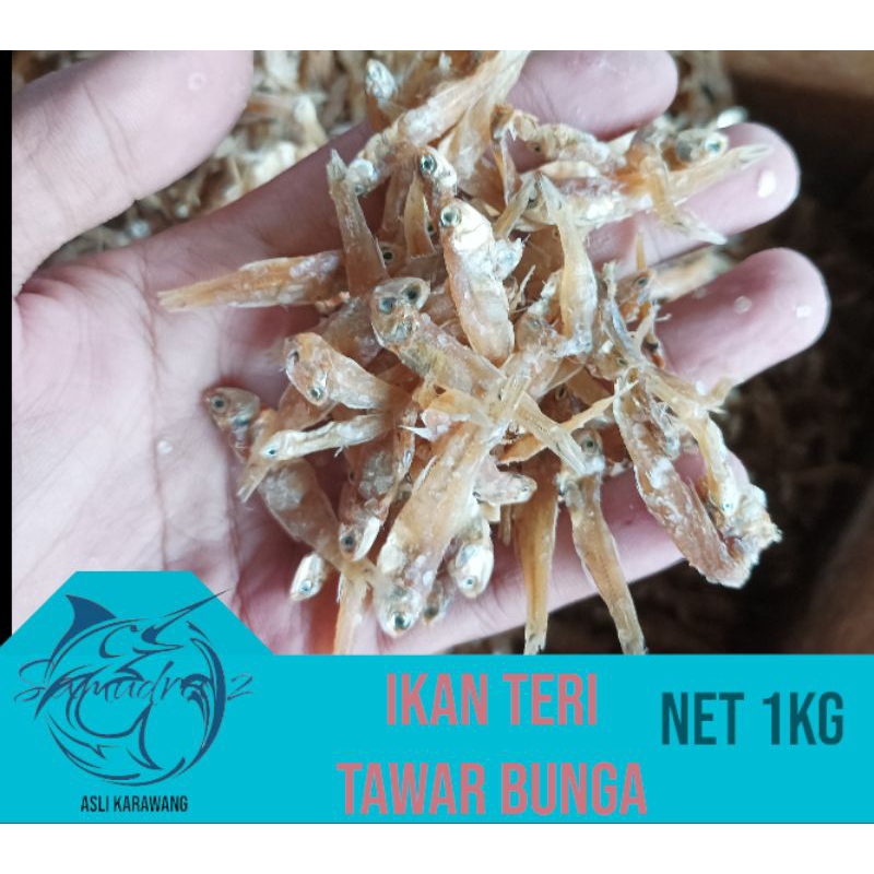 

ikan teri tawar bunga murah - 100gram