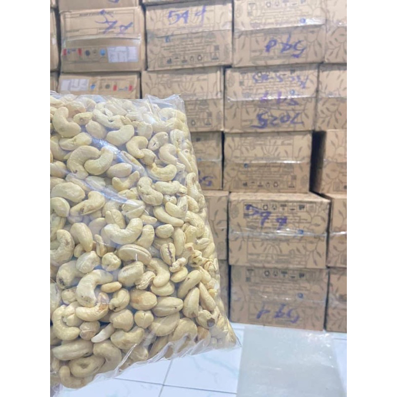 

kacang mente SK1