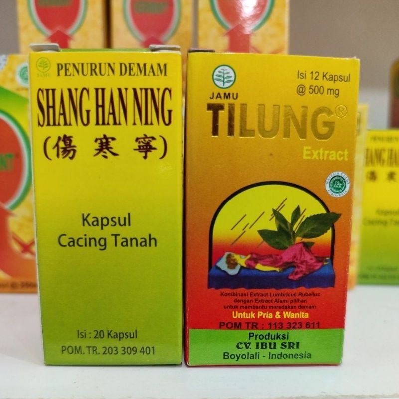 Kapsul Tilung untuk tipus / Shang Han Ning Kapsul Cacing Tanah