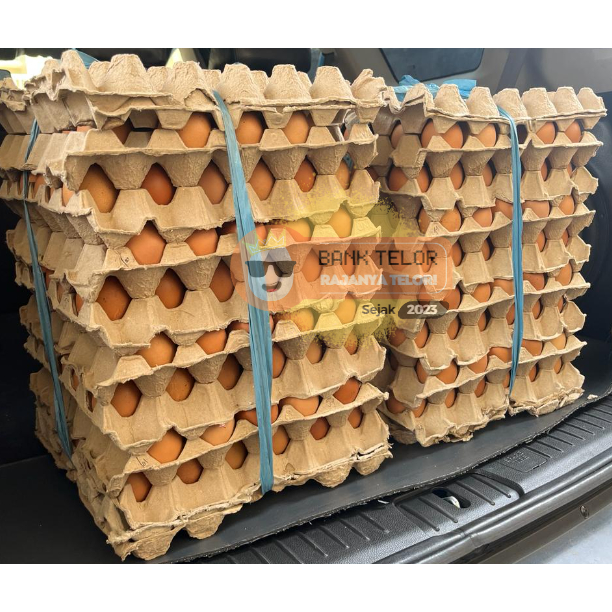 

Telur Omega 3 - 1 Ikat Berat 15Kg