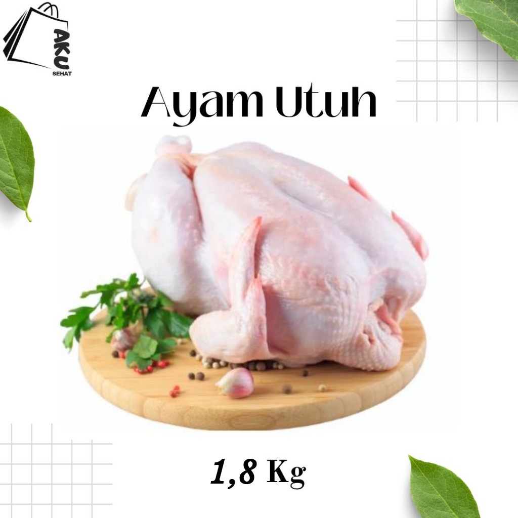 

Daging Ayam Utuh 1,6 Kg-1,8 Kg / Ayam potong termurah Se Indonesia / Sidoarjo Surabaya / Ayam fresh