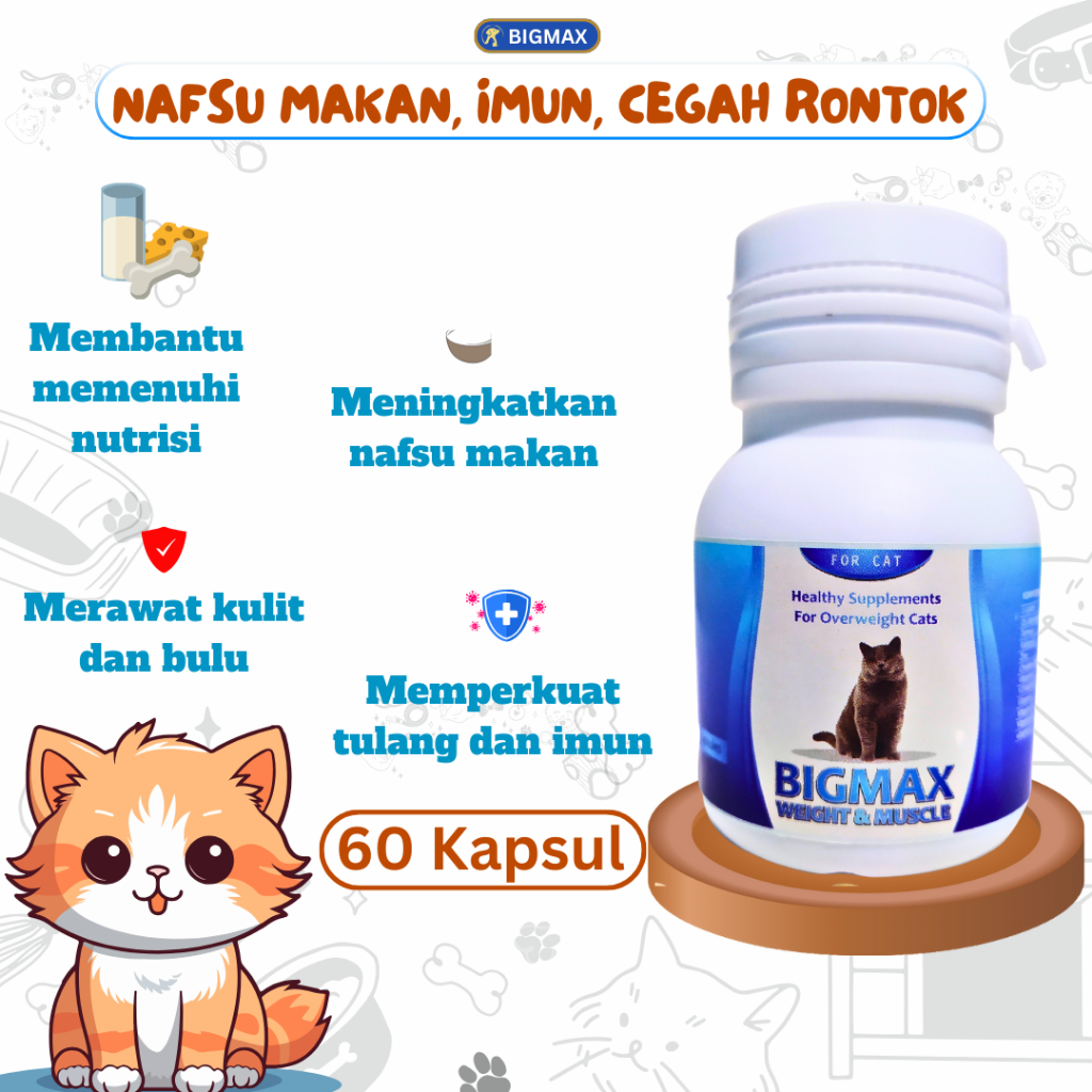 VITAMIN KUCING NAFSU MAKAN KUCING PENGGEMUK KUCING VITAMIN BULU KUCING RONTOK ANTIBODY VITAMIN KUCIN