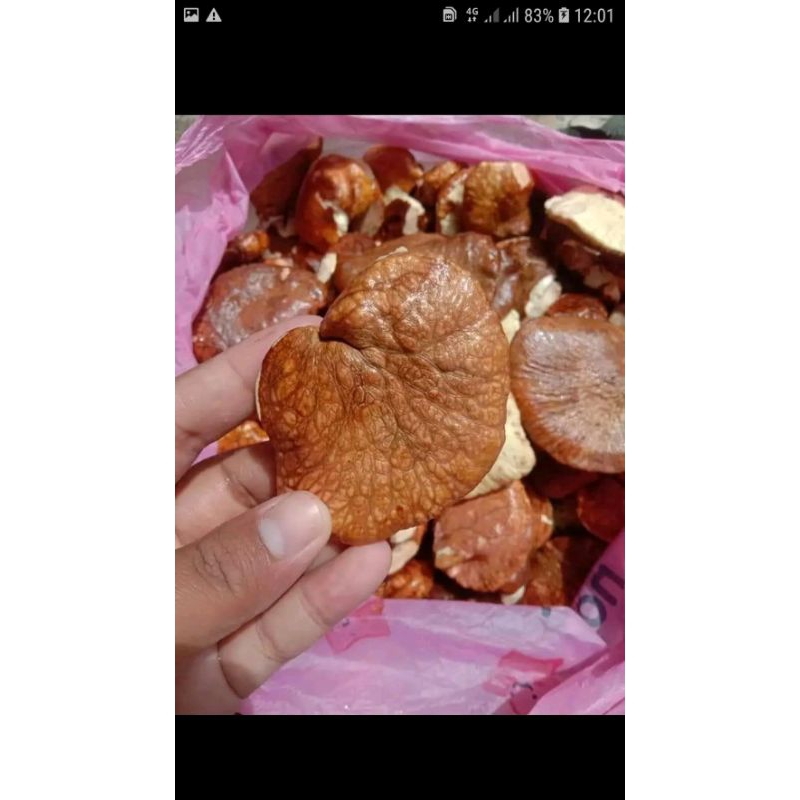 

Gayam Mentah Makanan Sehat Diolah Apapun Nikmat 1Kg