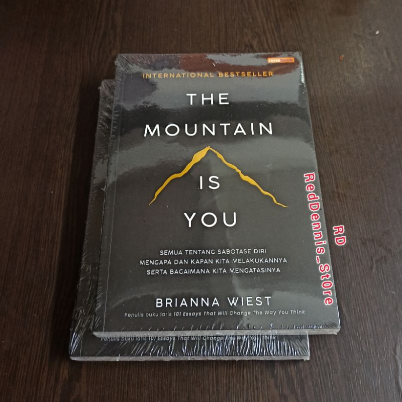 The Mountain Is You - Brianna Wiest