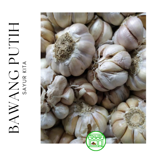

Bawang Putih 250 gram