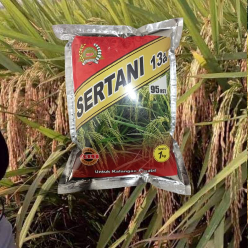 Benih Padi Sertani 13A