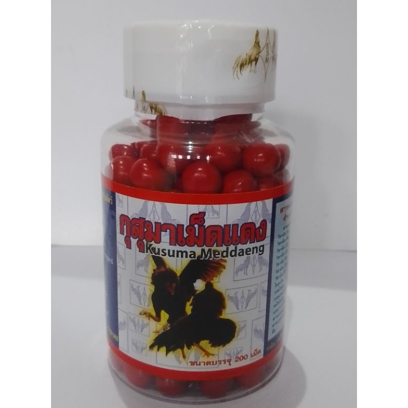 KUSUMA MEDAENG Ayam Merah kuat