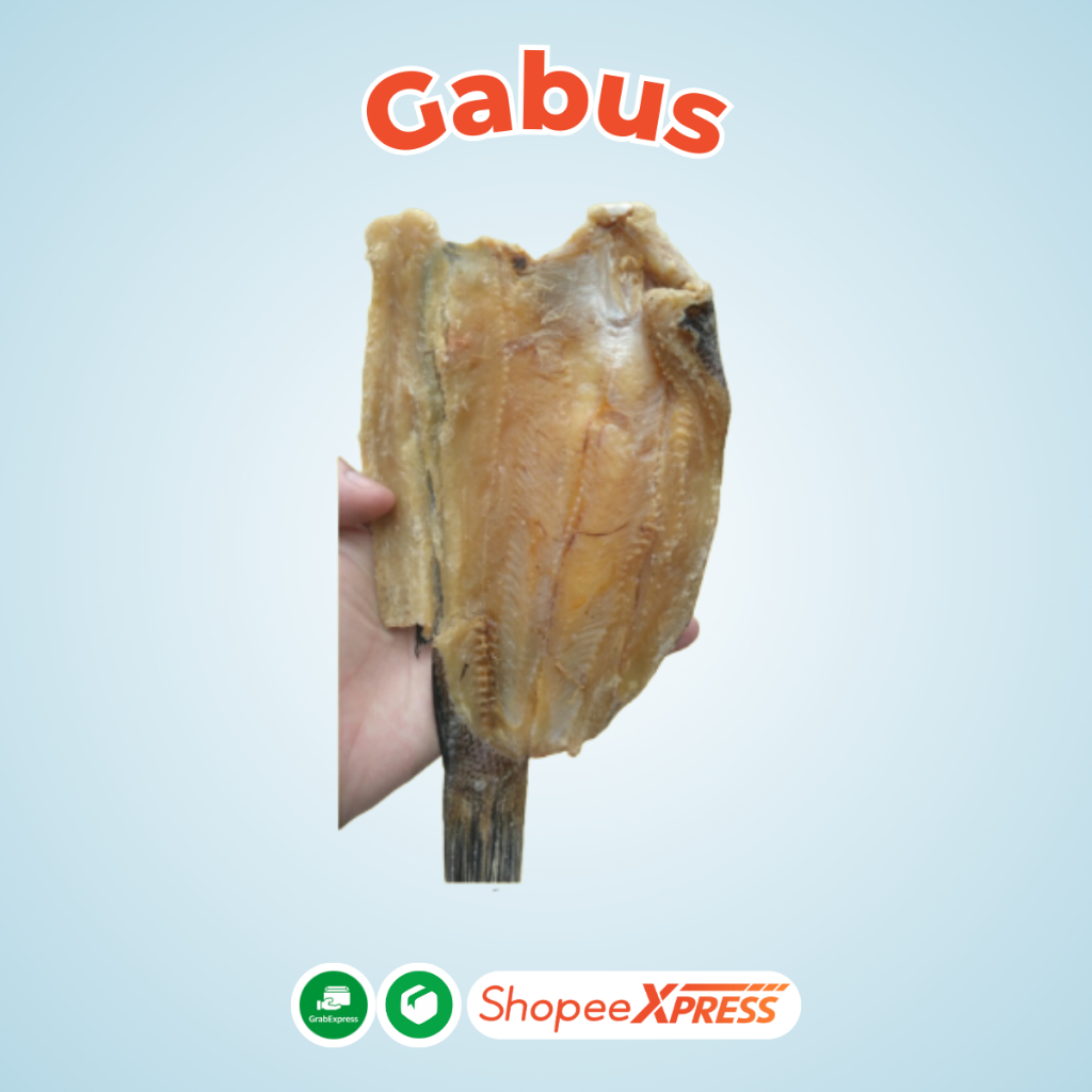 

IKAN ASIN GABUS [BAYAR DITEMPAT]