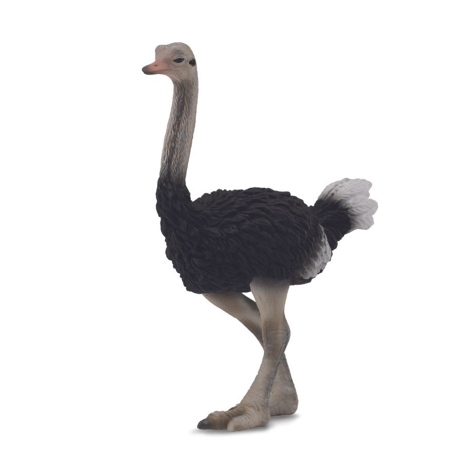 Collecta Figure Ostrich Mainan Anak Kado Hadiah Anak