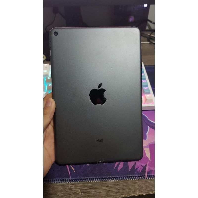 Ipad Mini 5 256gb Wifi Only