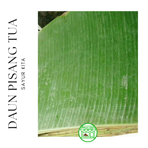 

Daun Pisang Batu (Tua) 1 kg / Lepit