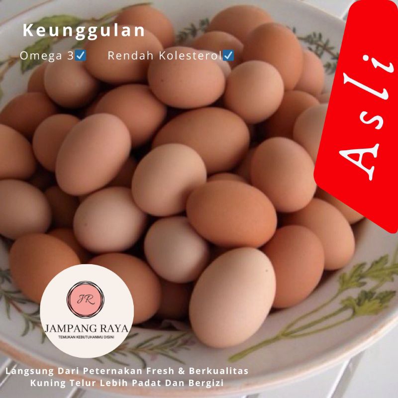 

Telur Ayam Kampung Best Original konsumsi Buat Fertil Bisa Juga