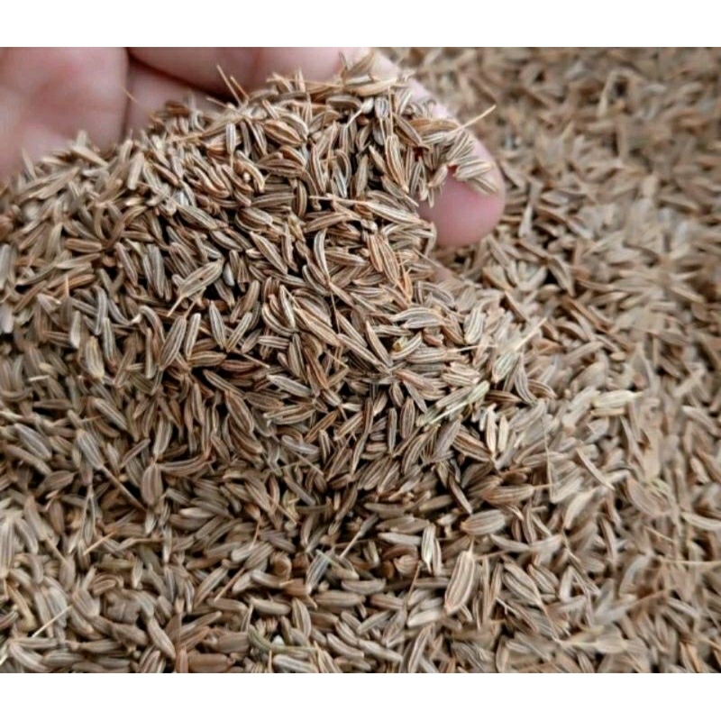 

jinten 500 gr wangi dan baru