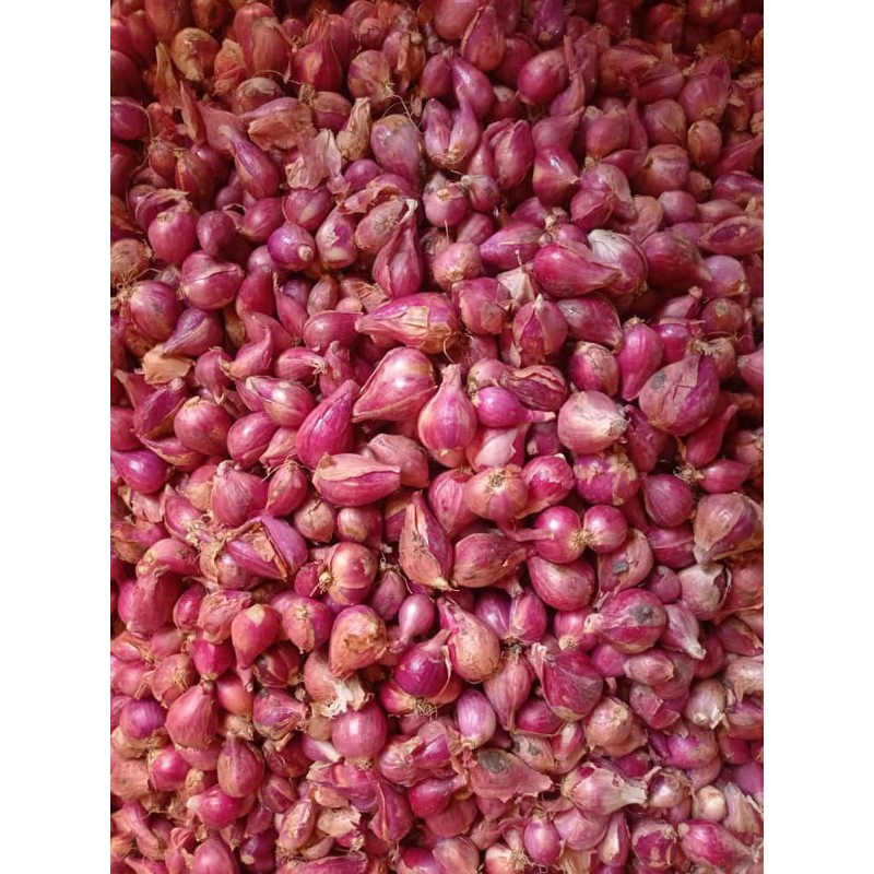 

BAWANG MERAH LOKAL 1kg, Fress kering Termurah