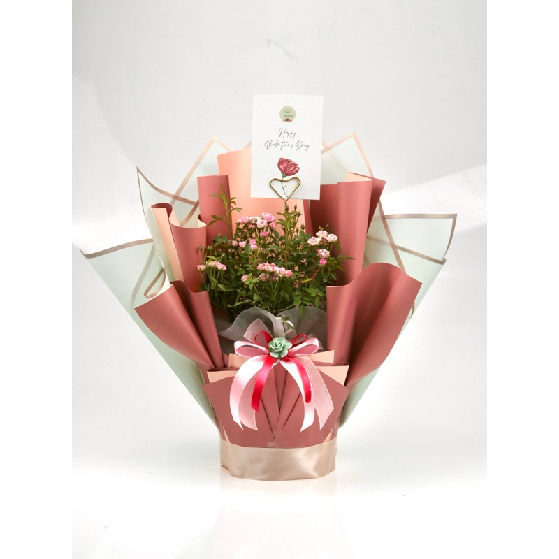Kado Valentine Buket Bunga Mawar  Ngeboon Romantic Mini Rose Import Tanaman Hidup Unik Murah