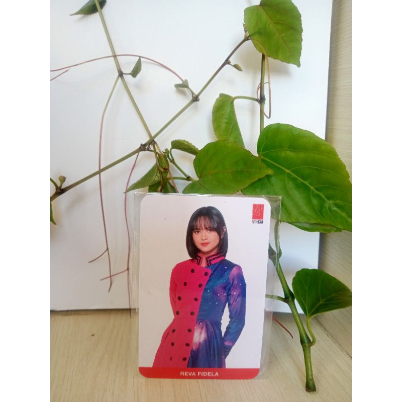 photocard JKT48 ADEL nice to see you