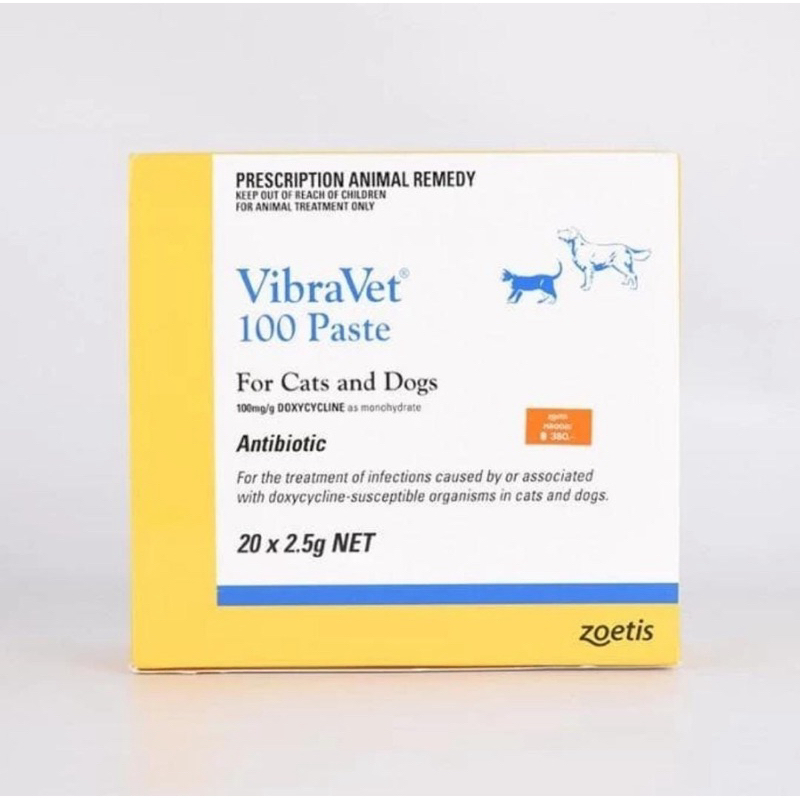Vibravet obat antibiotik anjing