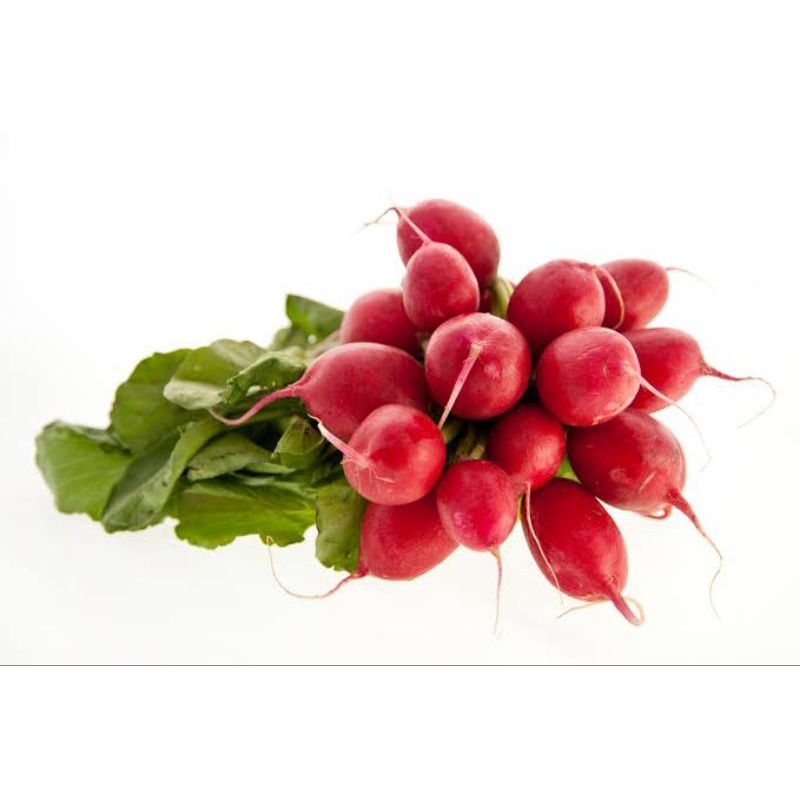 

Radish 500 gr