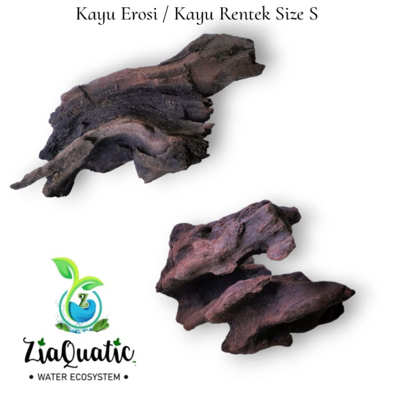 Kayu Erosi/Kayu Rentek/Ornament/Terrarium/Paludarium/Aquascape