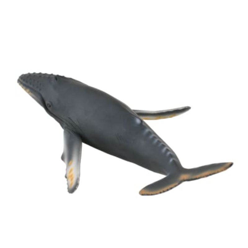 Collecta Figure Humpback Whale 88347