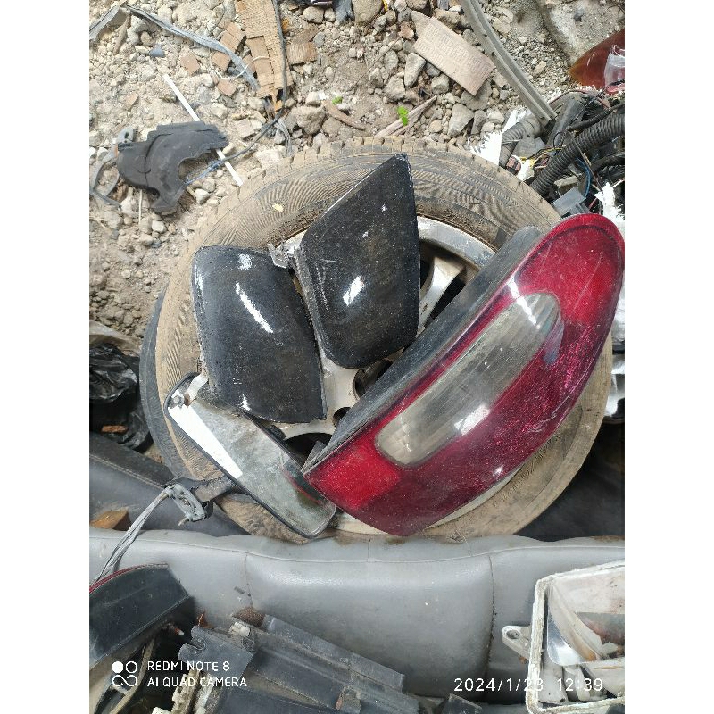 sainkanankiri Timor ori