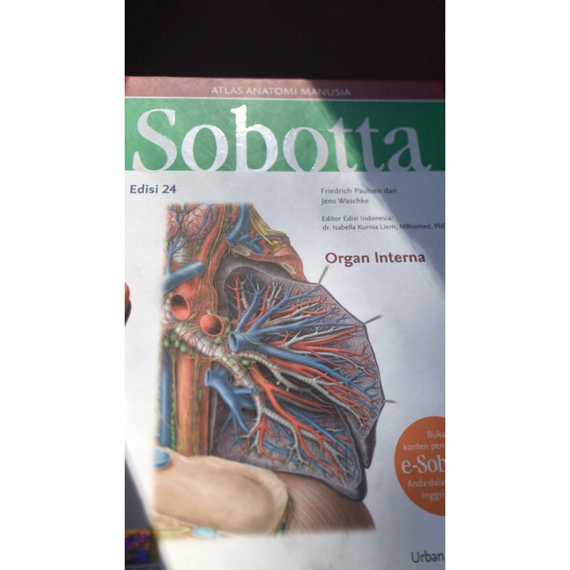 

sabotta atlas anatomi edisi 24