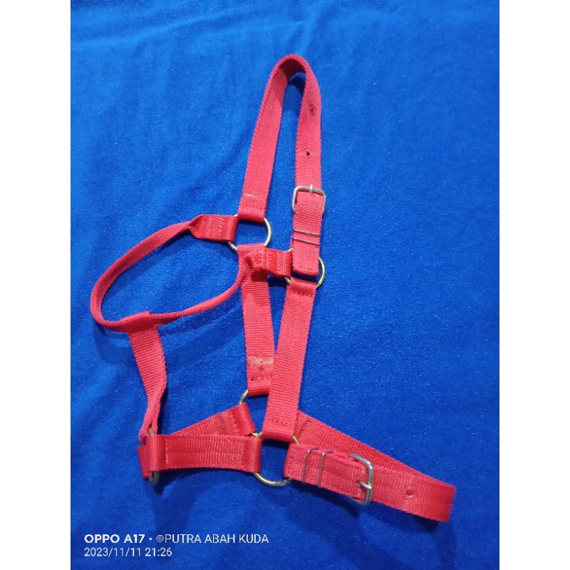 halter/bacokan,,kandang