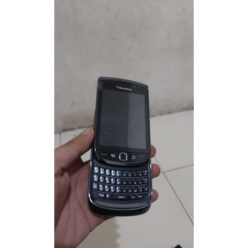 Blackberry Torch