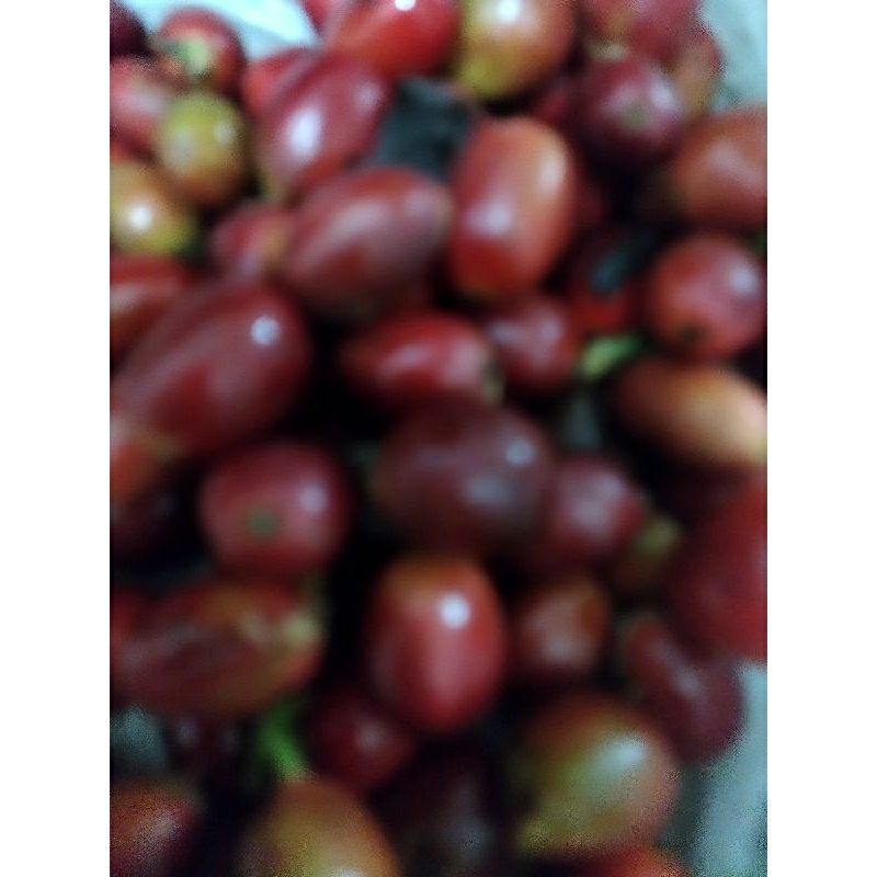 

Kopi Glondong Arabika Petik Merah / Arabica coffe