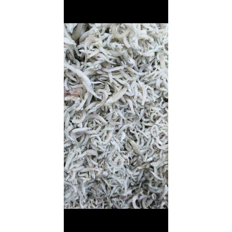 

Teri nasi sedang super 1 kg