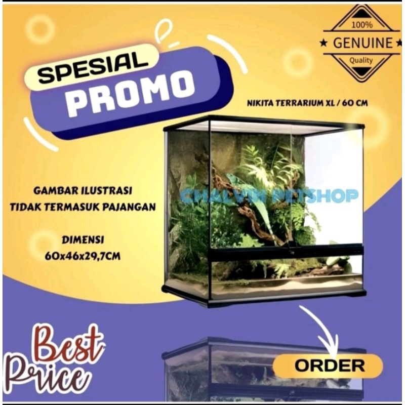 Aquarium Glass Terrarium Nikita 60 cm / Kandang Kura Reptil Hamster