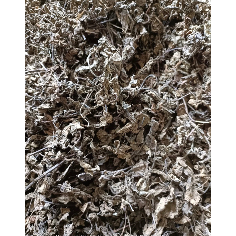 

Daun cincau Super (Grade A) kemasan 25 kg