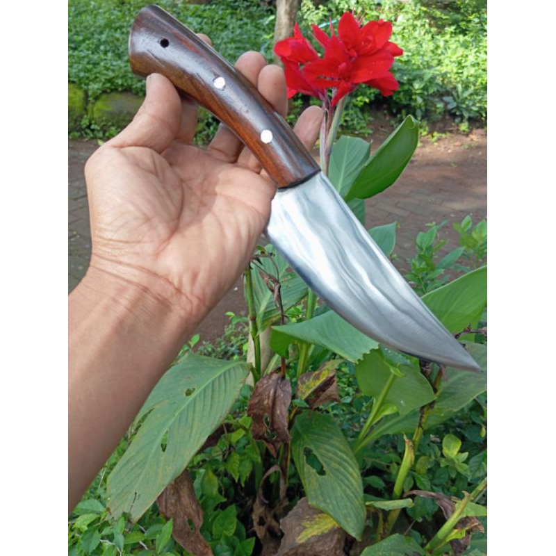 pisau daging seset kulit sapi dan kamnbing iris daging