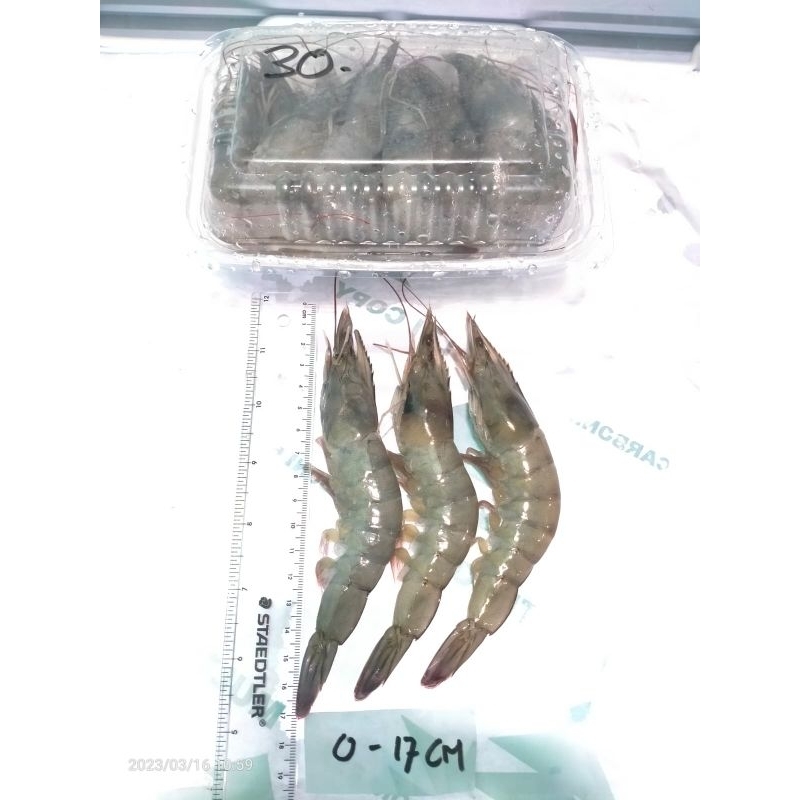 

Udang Vaname AK 30