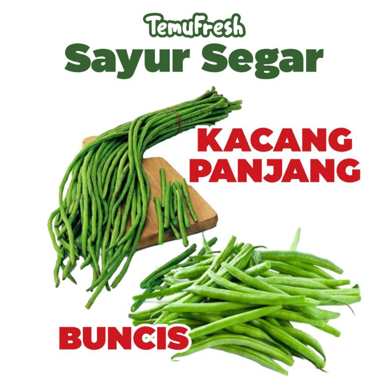 

BUNCIS & KACANG PANJANG TEMUFRESH - Sayur Sayuran Hijau Segar Sleman Jogja - TemuPawon