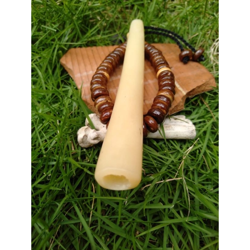 once tulang unta 9/10cm free bonus gelang batok