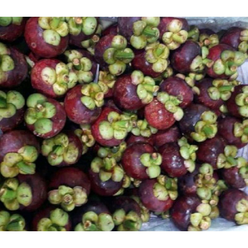 

manggis manis presh 1kg