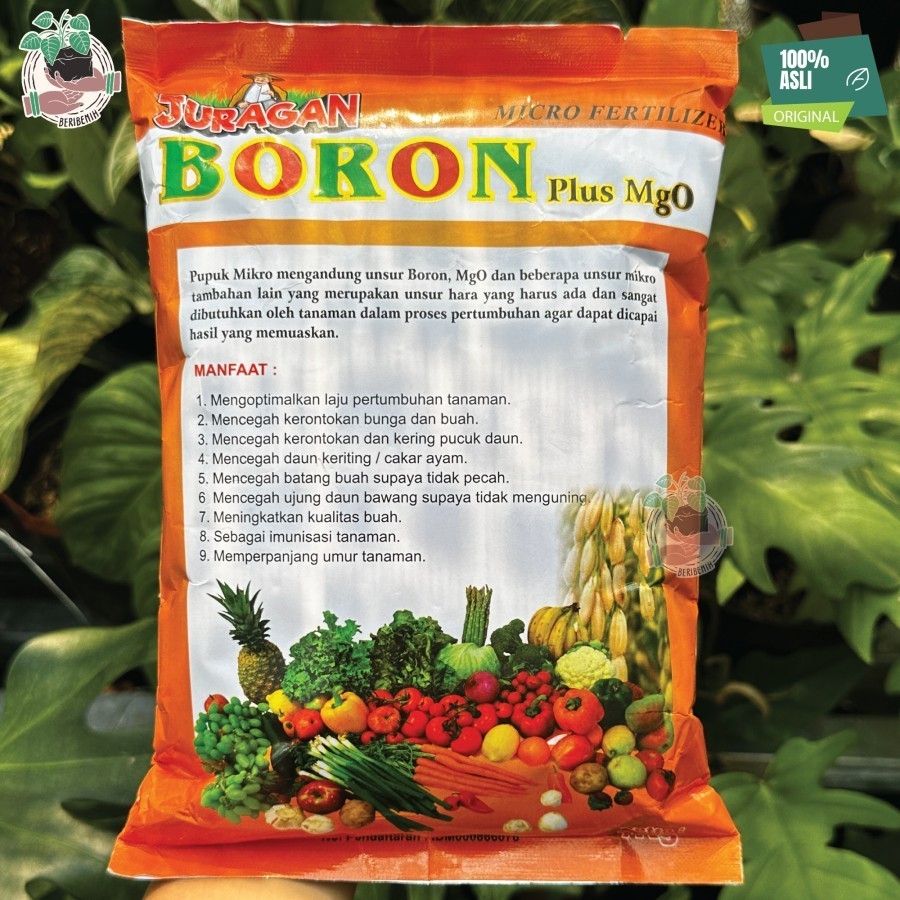 

JURAGAN BORON Kuning Nutrisi Instant 1kg Memperkuat Jaringan Bunga Agar Tidak Mudah Rontok