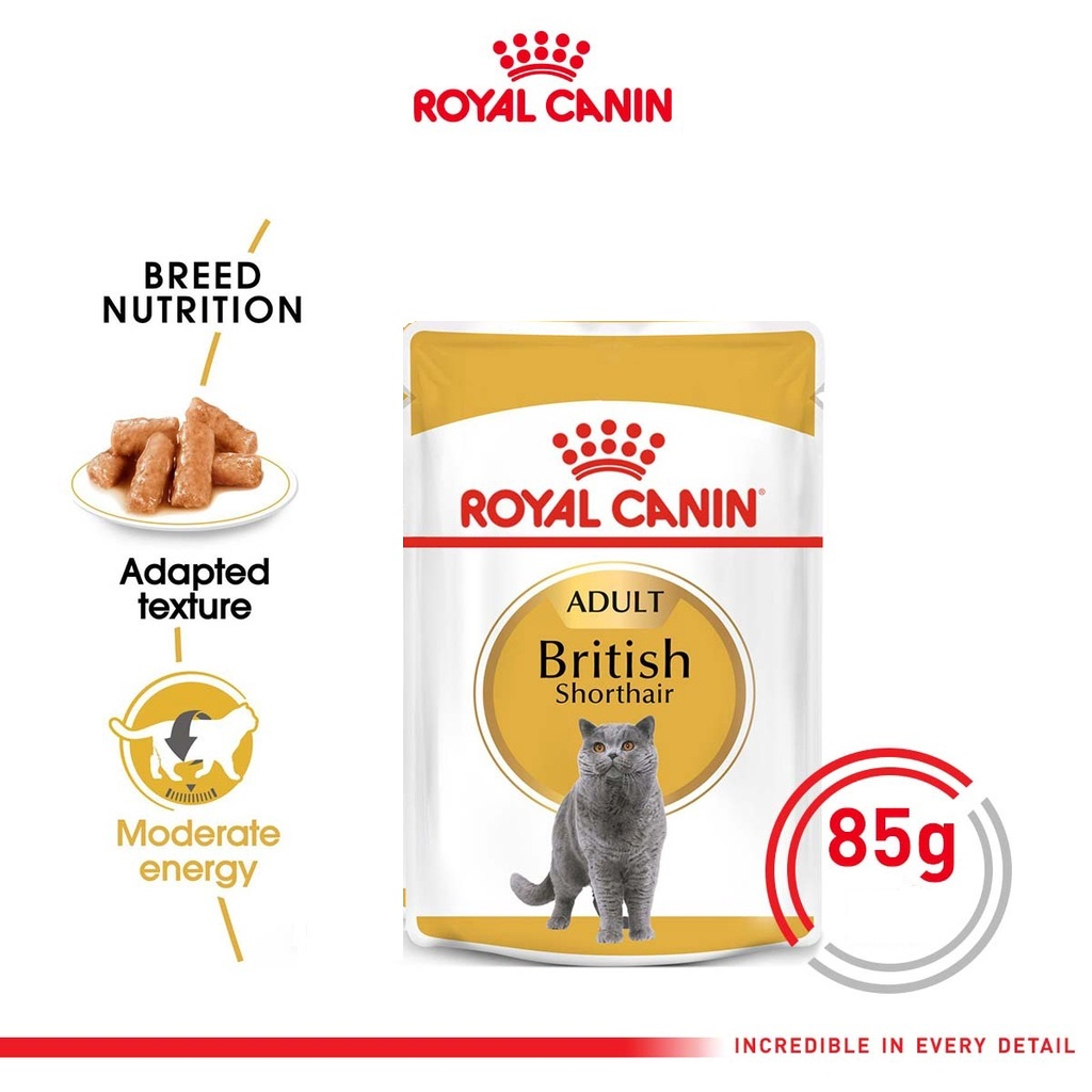 Royal Canin British Shorthair Adult 85g Cat Wet Food Makanan Kucing Dewasa 85Gr - Feline Breed Nutrition